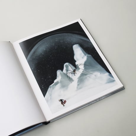 Walter Martin & Paloma Munoz / Travelers