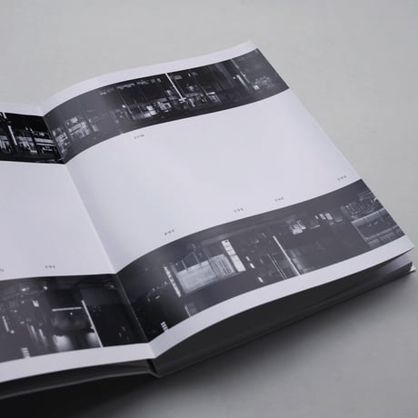 Takashi Homma / EVERY BUILDING ON THE GINZA STREET