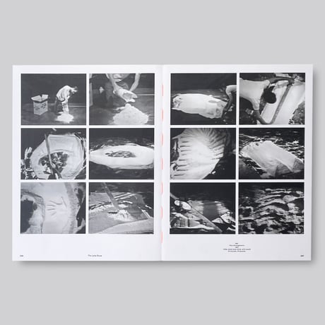 Bruce Nauman / The True Artist