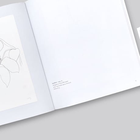 Ellsworth Kelly / Plant Lithographs