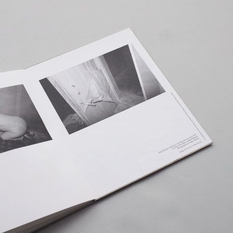 Heidi Bucher, Gordon Matta-Clark