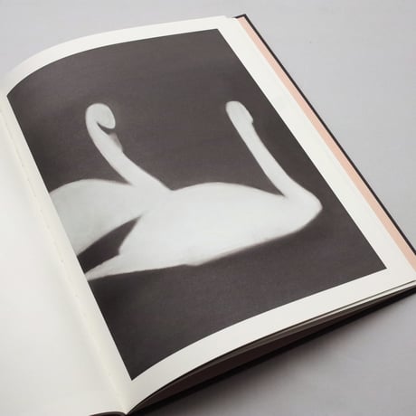Mats Gustafson / SWAN  Deluxe Edition (with Watercolor Painting)