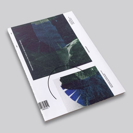 Field Essays - “Éloj Kréyol”
