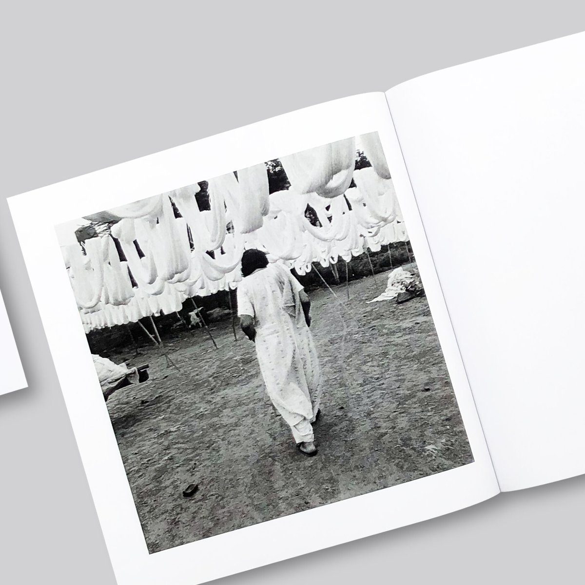 Dayanita Singh / Sea of Flies (Hasselblad Award Dayanita Singh / Sea of Flies (Hasselblad Award