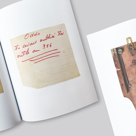 Sophie Calle & Jean-Paul Demoule / The Elevator Resides in 501