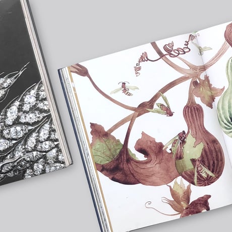 Botanical : Observing Beauty
