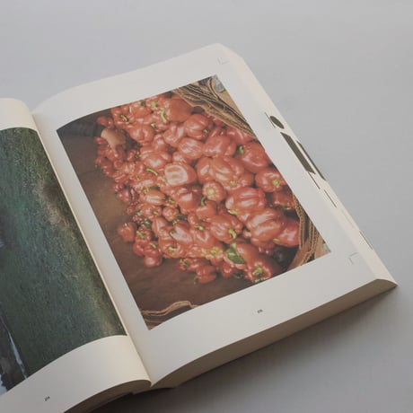 Reading the American Landscape