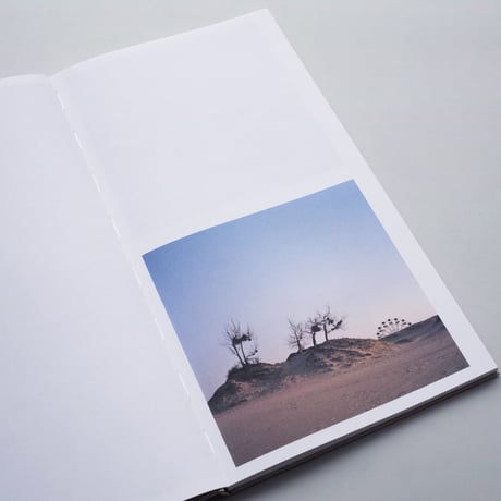 Sander van Wettum / Hibernation