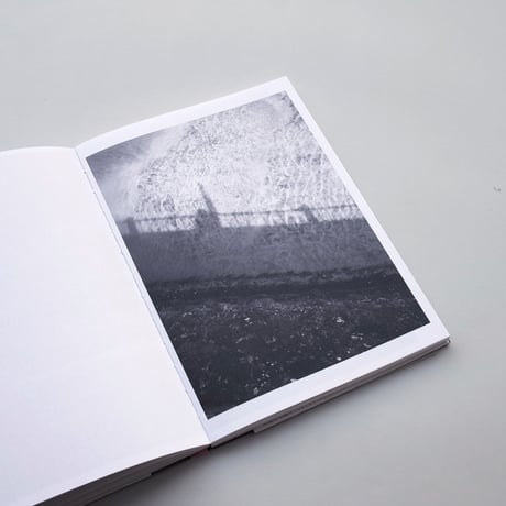 Zin Taylor / Ambient Visions of a Dot (下田市)