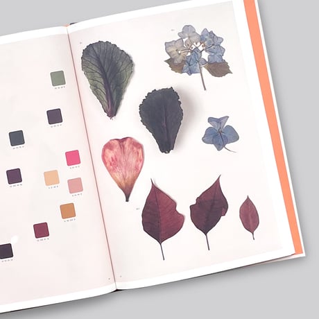 Chromatic Herbarium / Massimo Gardone, Alessandra Muran