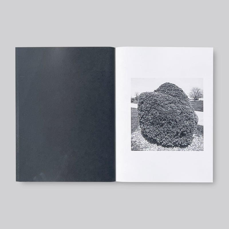 Mike Slack / Shrubs of Death | POST