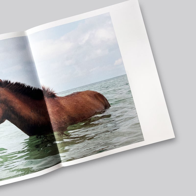 Charlotte Dumas / Ao (Blue) | POST