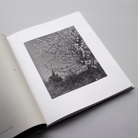 John Gossage / Should Nature Change