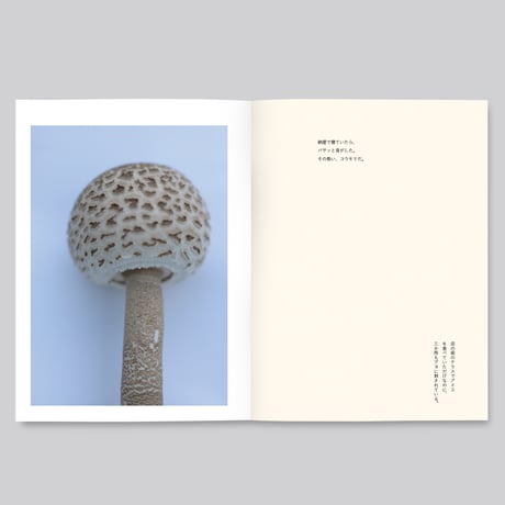 群れた島々と キノコたち / Islands, Islets, and Their Mushrooms