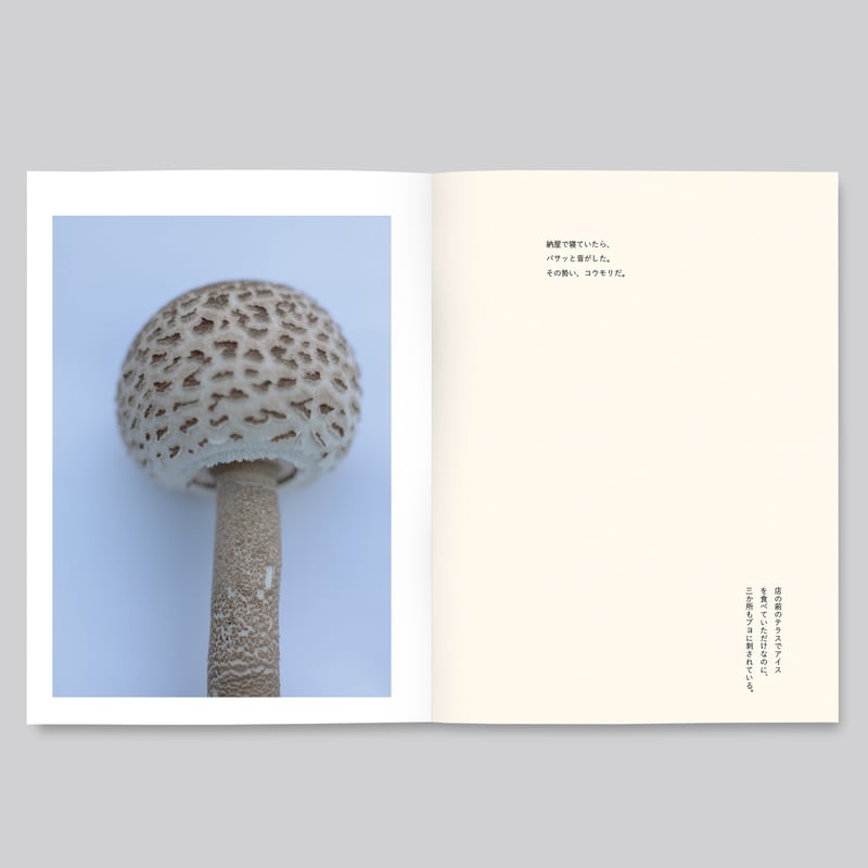 群れた島々と キノコたち / Islands, Islets, and Their Mushr