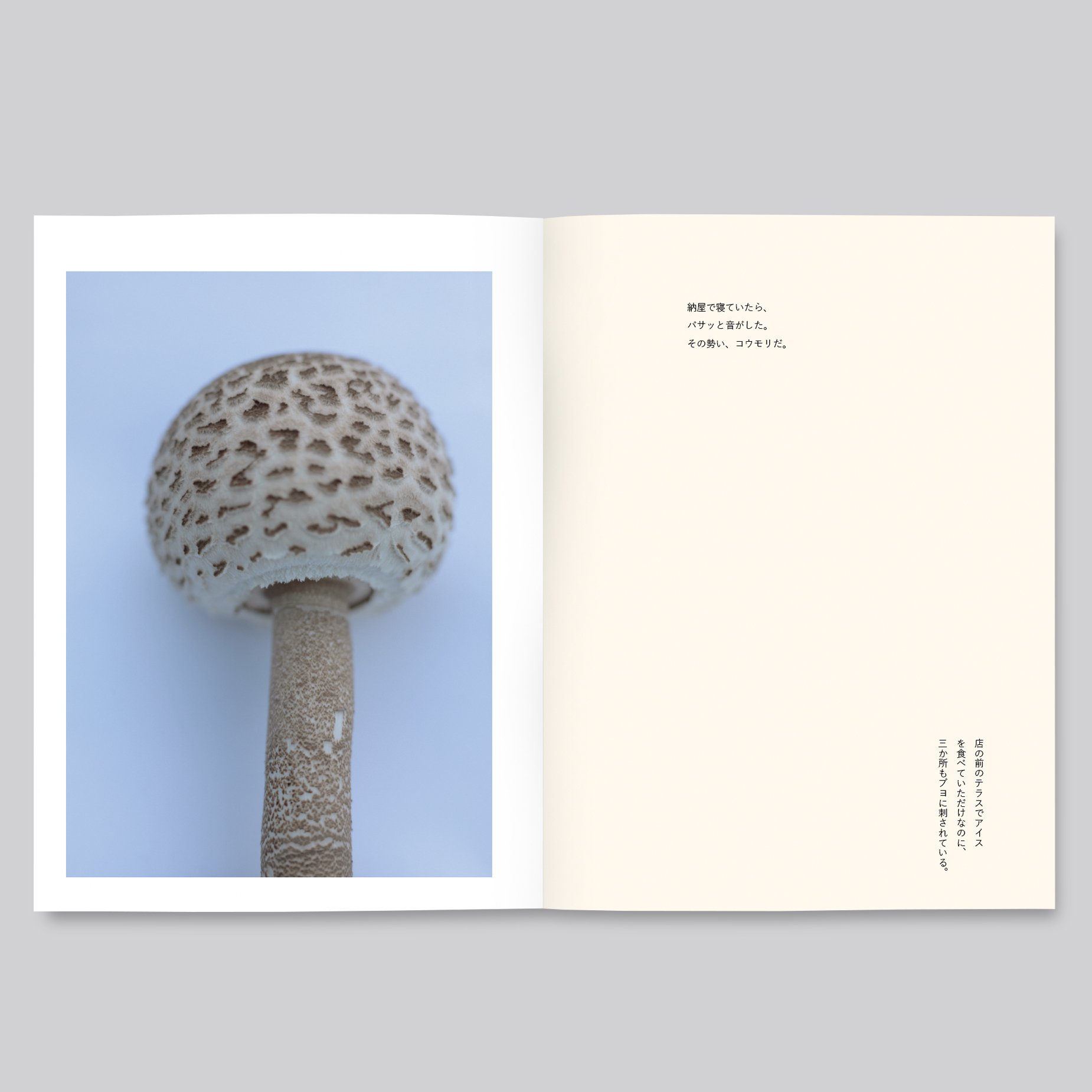 群れた島々と キノコたち / Islands, Islets, and Their Mushr