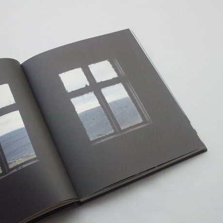 Roni Horn / Arctic Circles