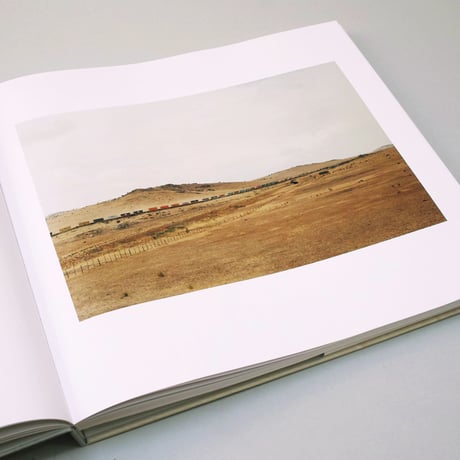 Victoria Sambunaris / TAXONOMY OF A LANDSCAPE