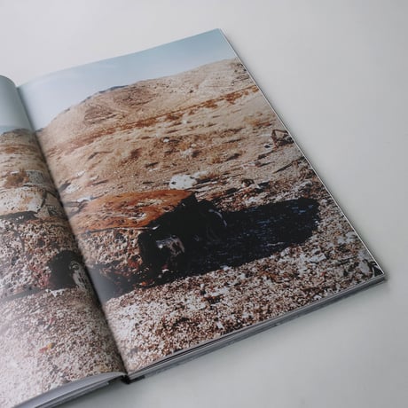 Taiyo Onorato, Nico Krebs / The Great Unreal