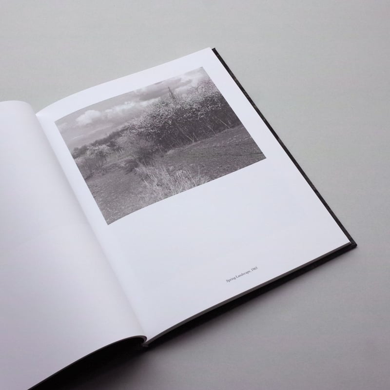 Paul Strand / The Garden at Orgeval | POST