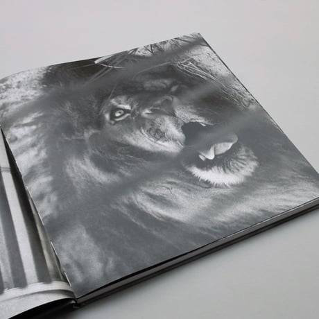 Diana Michener / A Song of Life