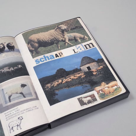 Lous Martens / Animal Books For