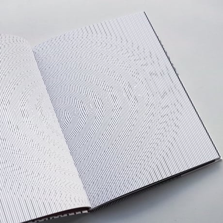 Takahiro Kurashima / Moirémotion