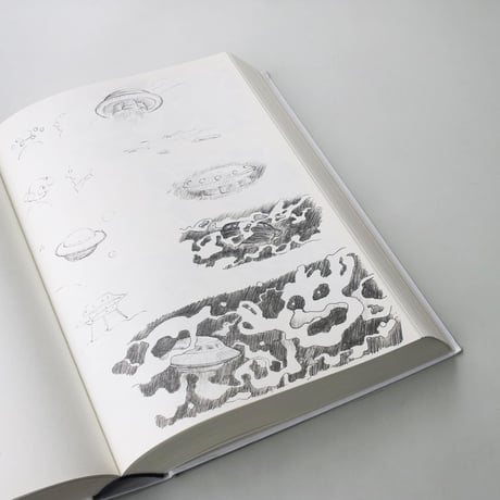 David Weiss / DIE WANDLUNGEN
