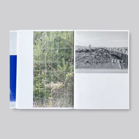 Marina Caneve / On the ground