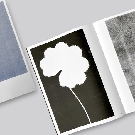 Herma de Wit / Essence of Nature