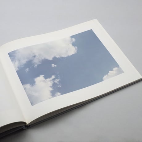 William Eggleston / At Zenith