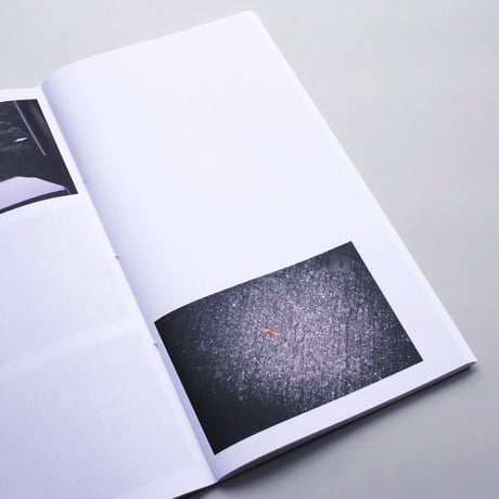 Fleur van Dodewaard / Left Hand Right Hand