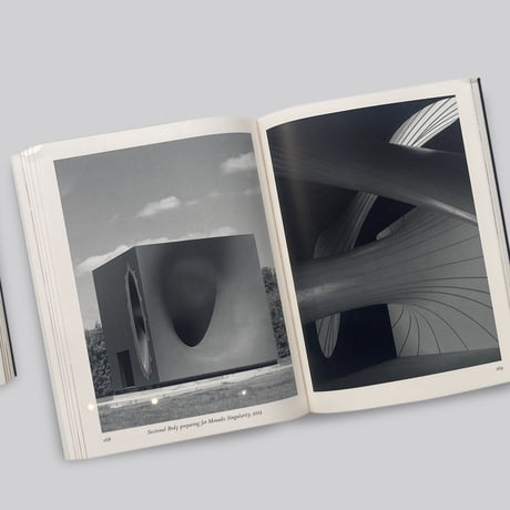 Anish Kapoor / Untrue Unreal