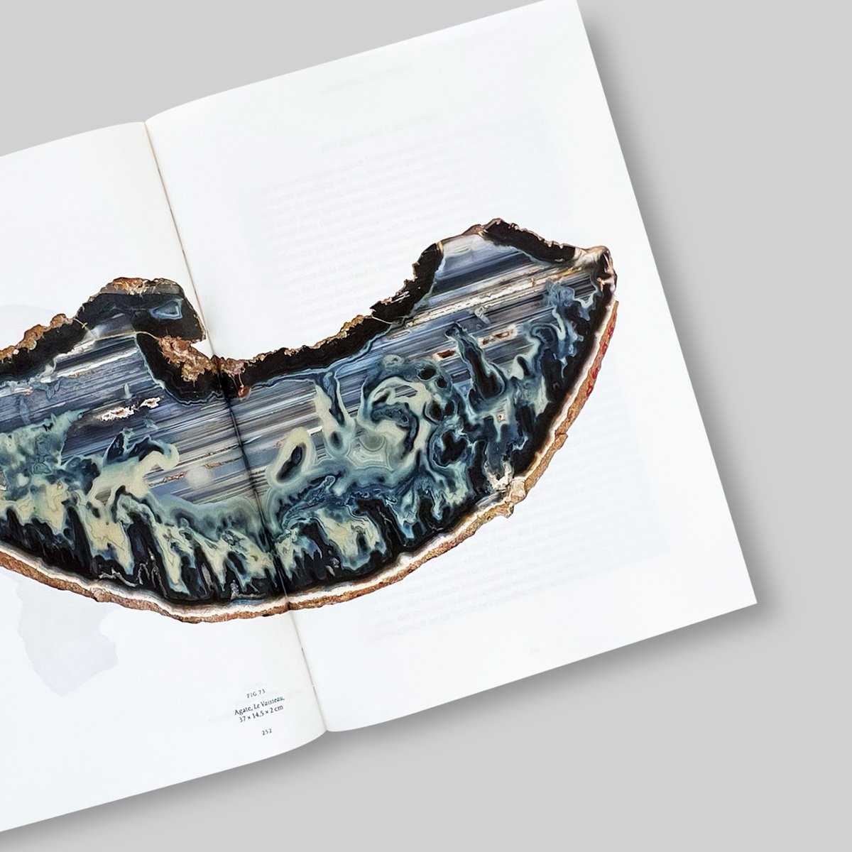 Roger Caillois / LA LECTURE DES PIERRES | POST