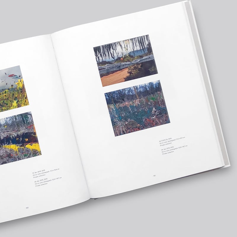 アート・デザイン・音楽 Gerhard Richter LANDSCAPES アート・デザイン・音楽 Gerhard Richter LANDSCAPES Gerhard