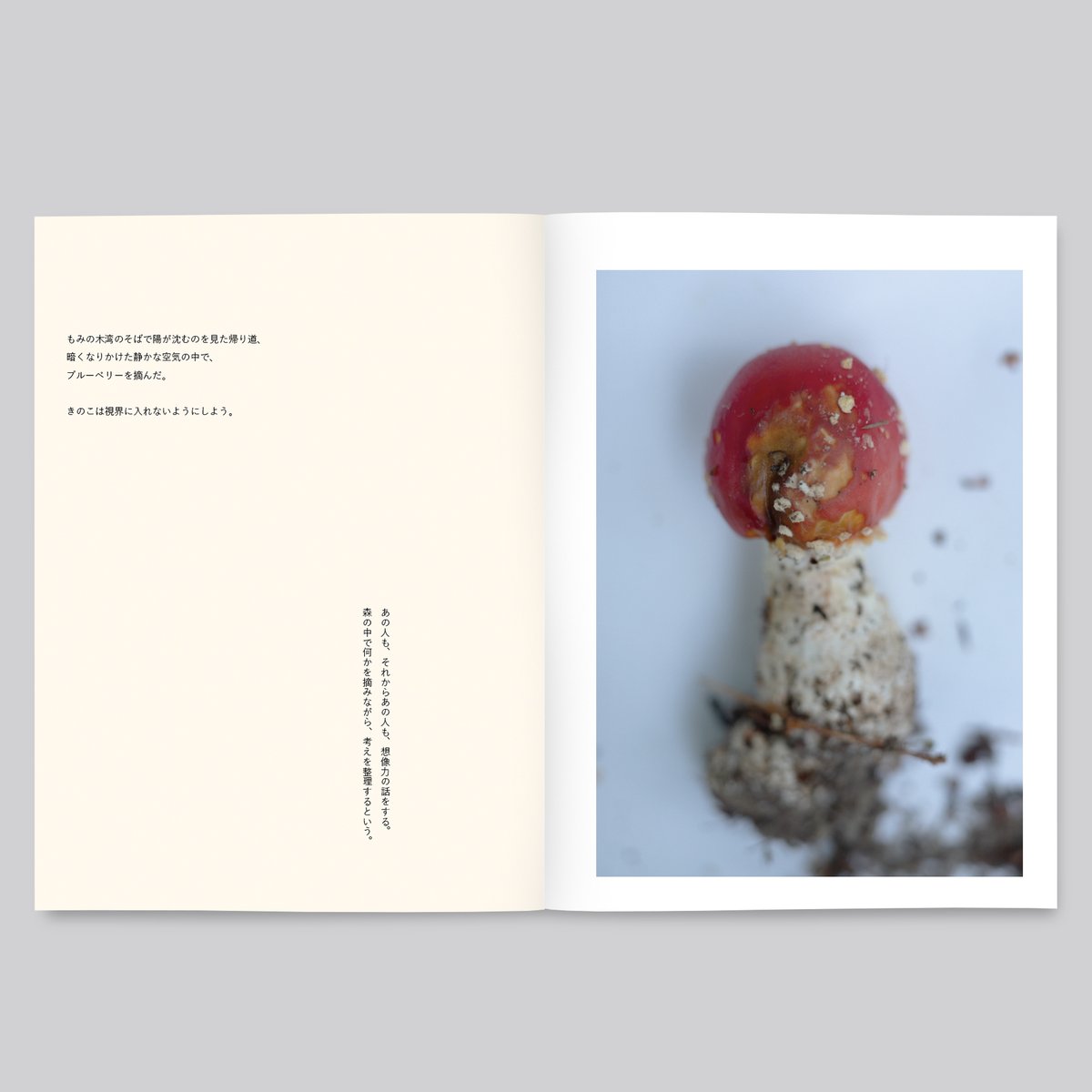 群れた島々と キノコたち / Islands, Islets, and Their Mushr