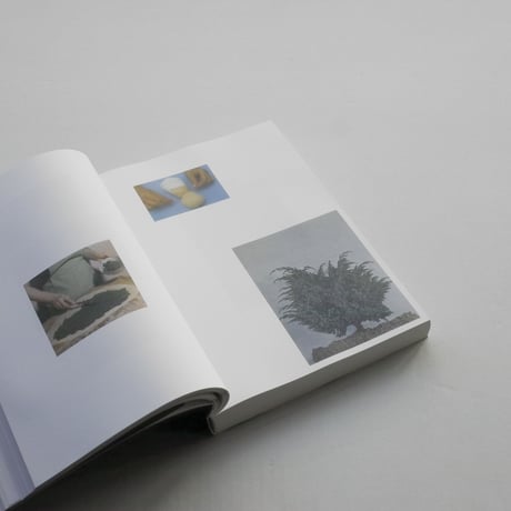 Ruth Van Beek / How To Do The Flowers