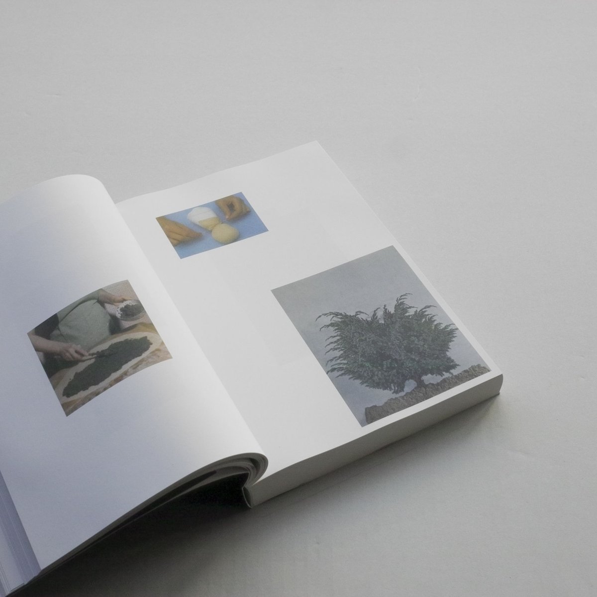 洋書 HOW TO DO THE FLOWERS by Ruth van Beek Signed) How To Do The Flowers by Ruth van Beek – IACK