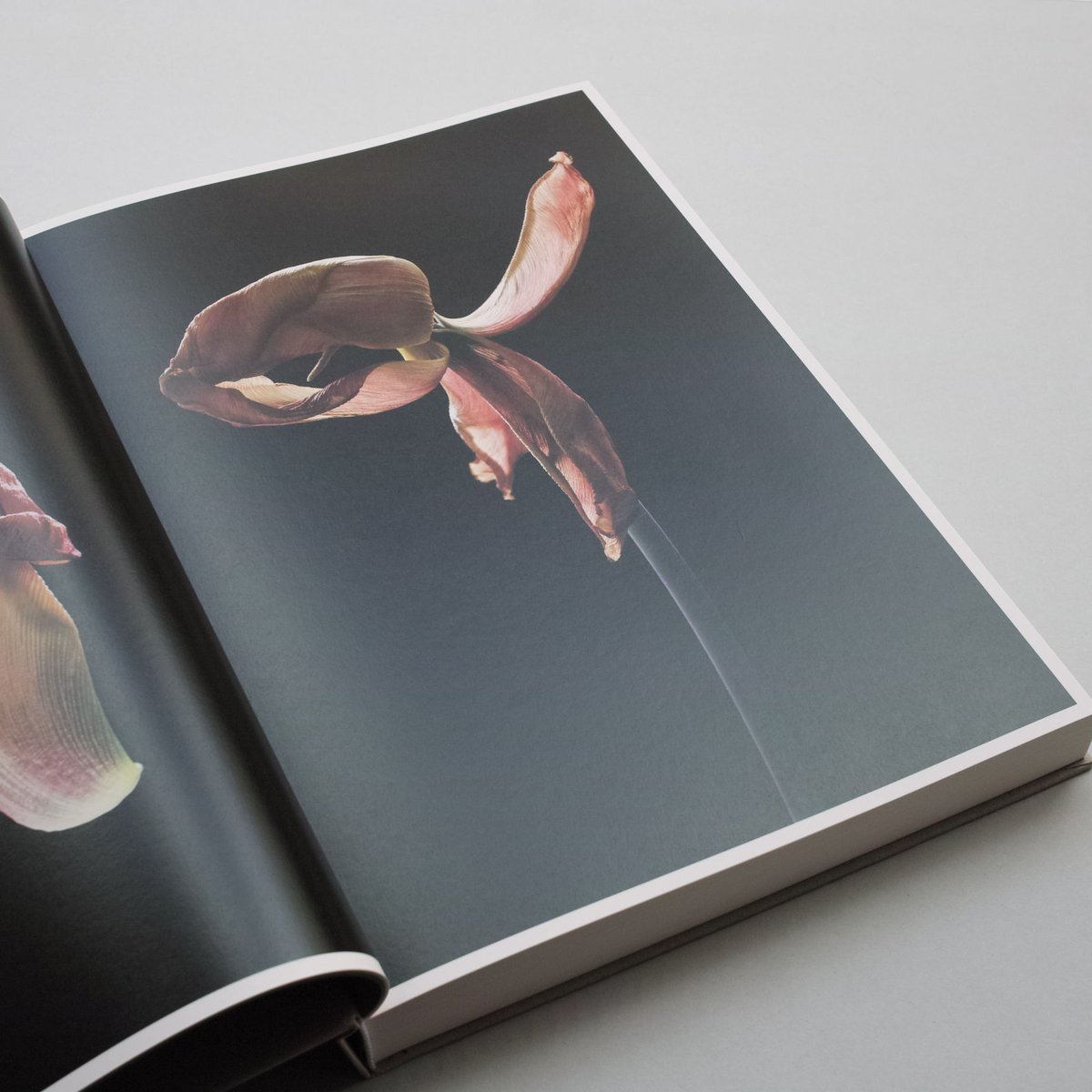 Carla van de Puttelaar / Adornments | POST