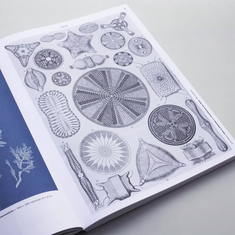 On the Necessity of Gardening - An ABC of Art, Botany and Cultivation