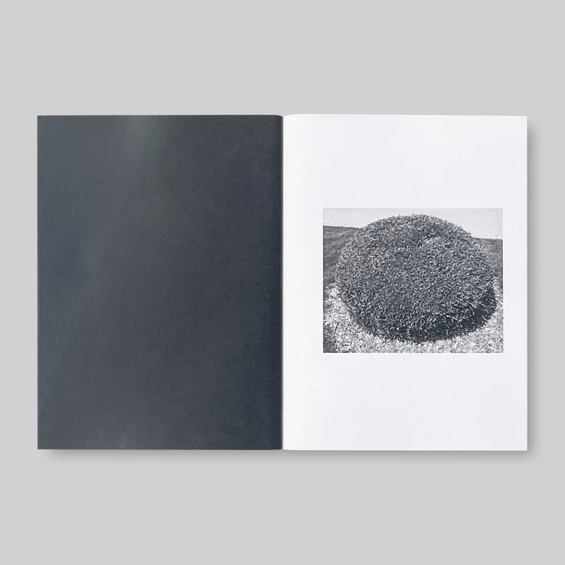 Mike Slack / Shrubs of Death | POST