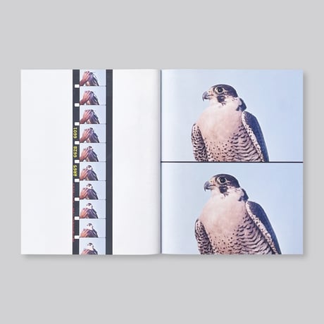 Elisa Caldana / The Falcon of Karachi