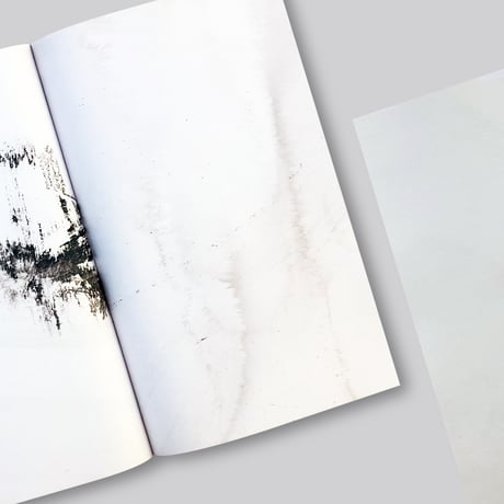 Johannes Tassilo Walter / H.A.D. – [Half a dog]