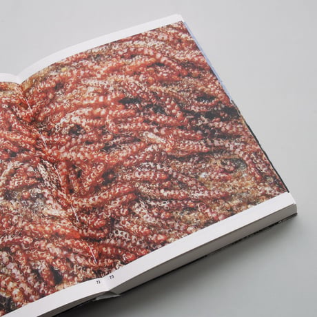 Oliver Moore / Bryophytes and Lichens of Letterewe