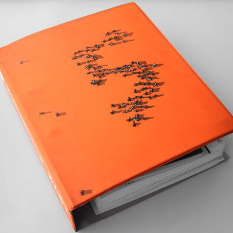 1972 DOCUMENTA 5 an exhibition catalogue
