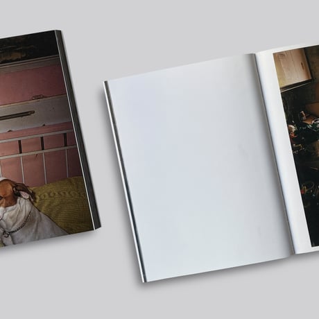 Richard Billingham / RAY’S A LAUGH