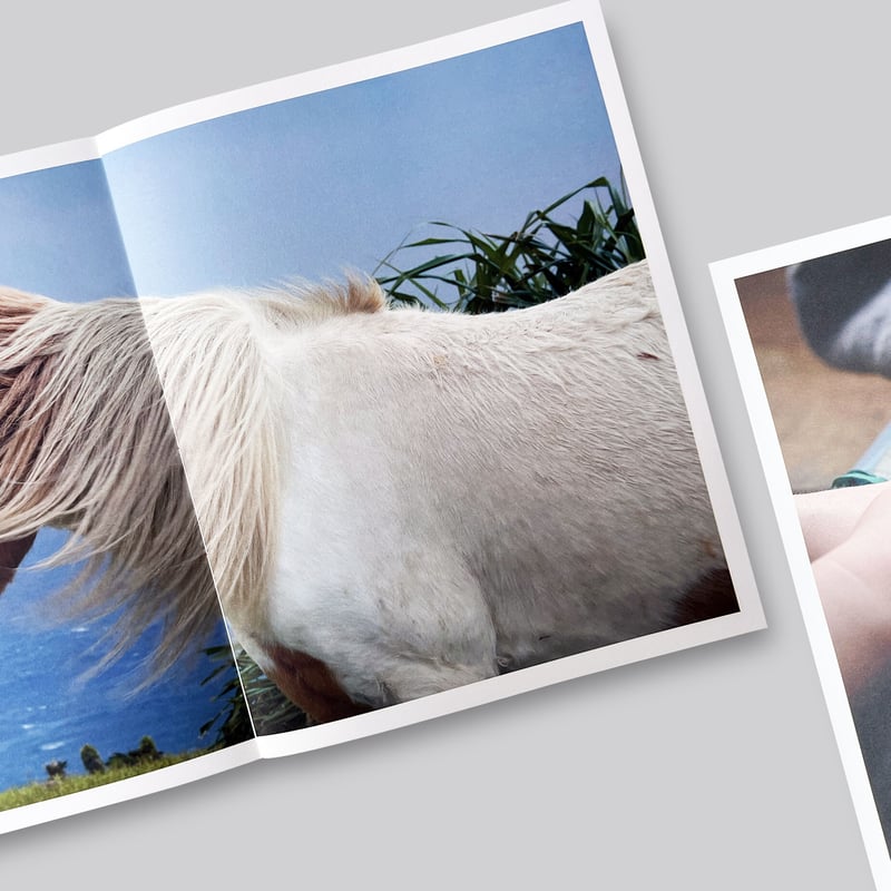 Charlotte Dumas / Ao (Blue) | POST