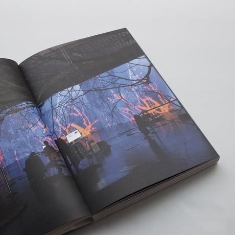 Pipilotti Rist / Elixir