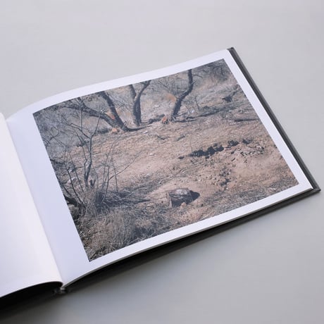 Ron Jude / Other Nature