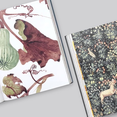 Botanical : Observing Beauty